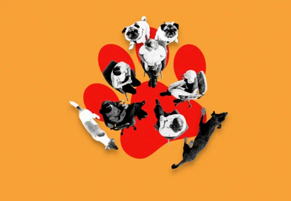 Inside support group bad dogs culture